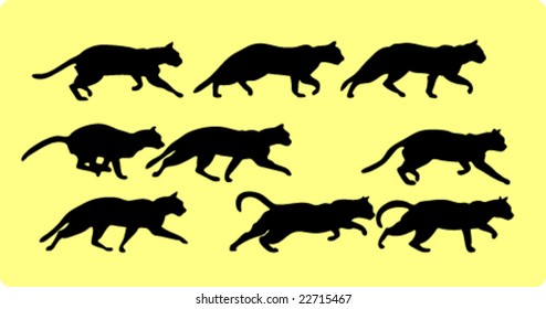 Silhouettes of cats