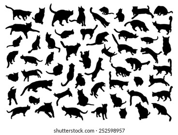 Silhouettes of cats