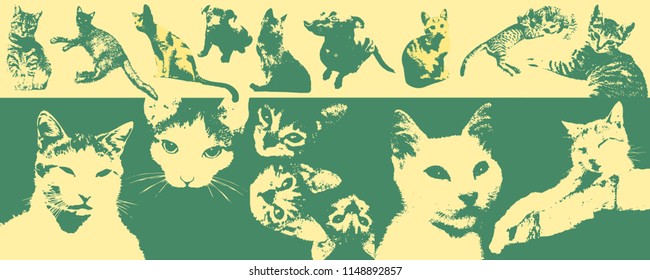 Silhouettes of cats and dogs. Easy editable, all in layers.