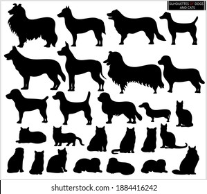 Silhouettes of cats and dogs on a white background. Pets.