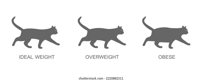 Silhouettes of cats with ideal weight, overweight and obese. Kitten profileswith normal and fat body condition. Process of domestic animals obesity. Vector graphic illustration