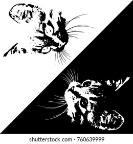 silhouettes of cats on white and black background. Vector illustration