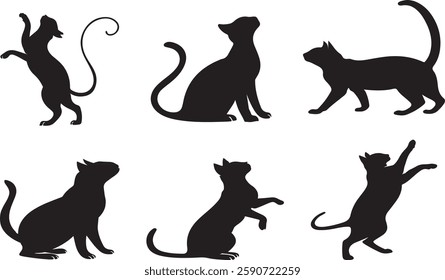 Silhouettes of Cats in Various Poses, cat vector illustration. Halloween  elements