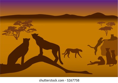 Silhouettes of cheetahs in savanna