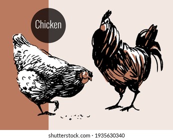 Silhouettes of a chicken and a rooster, sketch. Vector illustration.