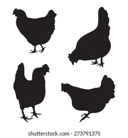 silhouettes of chickens