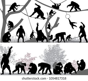 Silhouettes of chimpanzees and its cubs outdoors