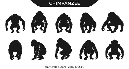 Silhouettes of chimpanzees in various poses