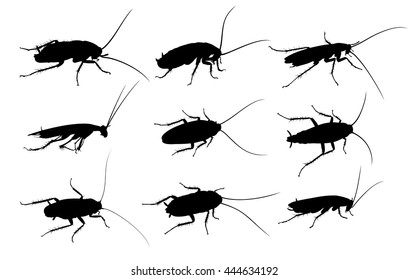 Silhouettes of cockroaches.