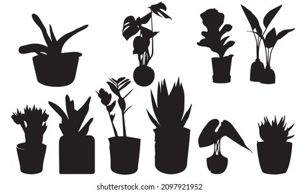 silhouettes collection of decor house indoor and outdoor  garden plants in pots and stands graphic set icons