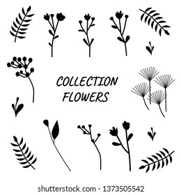 Silhouettes Collection Flowers in  black color isolated on white background. Illustration in Nature style. for web banners, posters, cards, wallpapers. 