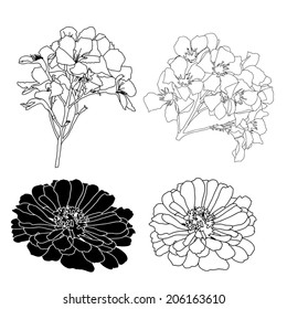 silhouettes colors on a white background vector