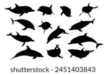 Silhouettes Common bottlenose dolphin set. Dolphins Tursiops truncatus in different poses. Realistic vector secondary water mammals