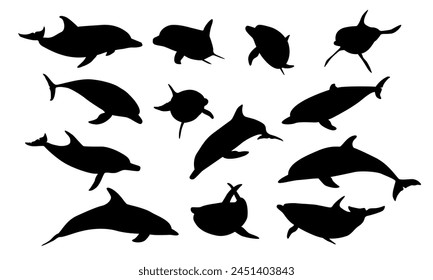 Silhouettes Common bottlenose dolphin set. Dolphins Tursiops truncatus in different poses. Realistic vector secondary water mammals