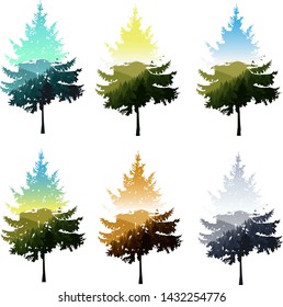 Silhouettes of coniferous tree with double exposure of nature panorama. Seasons.