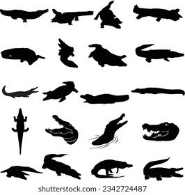 Silhouettes of crocodile set. Animal  wildlife silhouettes