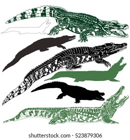 Silhouettes of crocodiles