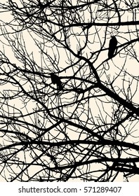 silhouettes of the crows on the tree branches