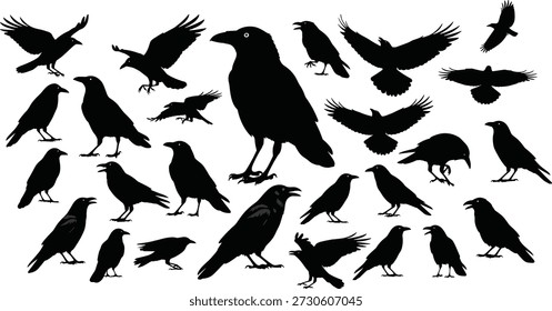 Silhuetas de corvos e corvos em poses variadas e posições de voo, mostrando movimento, forma, contraste, elegância aviária