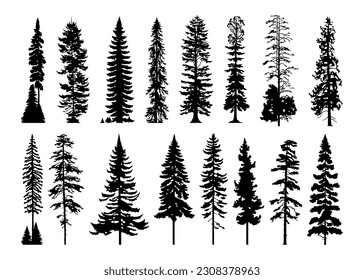 Silhouettes of cypress trees and pine trees. Set of pine, fir trees vector