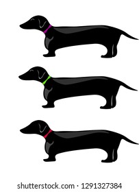 silhouettes of dachshunds with bright collars