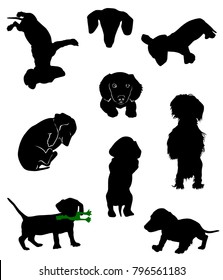 Silhouettes of dachshunds. Vector illustration. svg