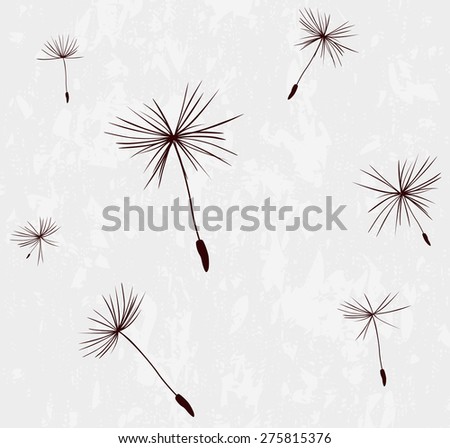 silhouettes of dandelion seeds in the wind