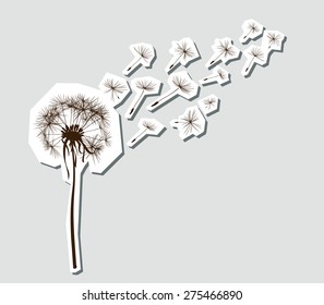 silhouettes of dandelion in the wind
