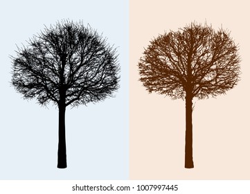 Silhouettes of the deciduous trees without leaves