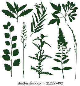 silhouettes of decorative elements of grass and twigs
