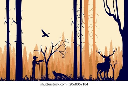 Silhouettes of deer and cameraman in the forest  , trees and wild animals dark red silhouettes