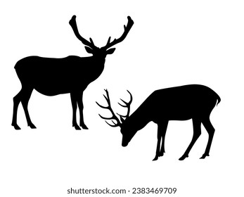 
silhouettes of deer. shadows of deer with antlers