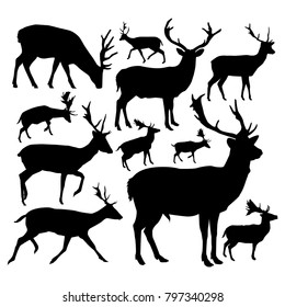 Silhouettes of deers.