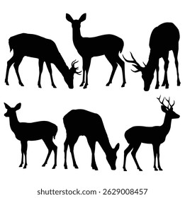 Silhouettes of deers isolated on white