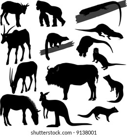 Silhouettes of different animals