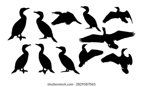 Silhouettes of different bird species in various flying and perching positions, emphasizing their shapes and flight dynamics.