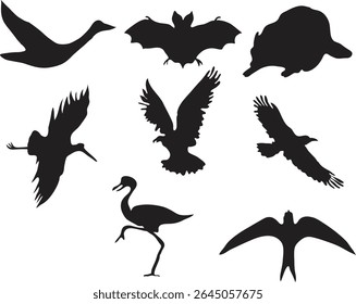 Silhouettes of different birds and a bat depicted in a vector art style against a simple background.