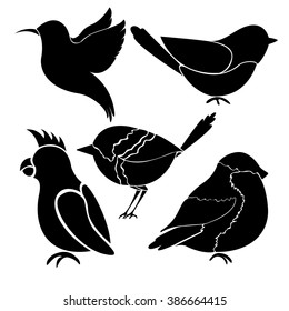 Silhouettes of different birds on white background. Hummingbird, colibri,  titmouse, bullfinch, parrot.