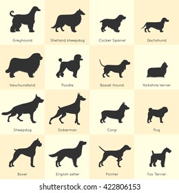 Silhouettes of different dogs breeds icon set with detailed description of appearance and character vector illustration