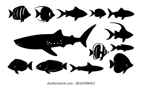Silhouettes of different fish species arranged in a pattern, showcasing diversity in aquatic life forms and shapes for educational or design purposes.