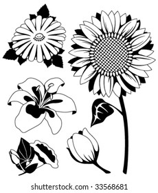 Silhouettes of different flowers