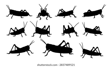 Silhouettes of different grasshoppers and crickets showcasing diverse postures and sizes, isolated on a white background for insect study and nature themes.