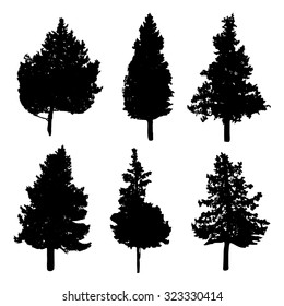 Silhouettes of different kind of fir and pine trees 