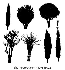 Silhouettes of different kind of trees and bushes