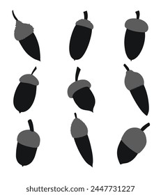 Silhouettes of different shapes of acorns and caps, isolated vector