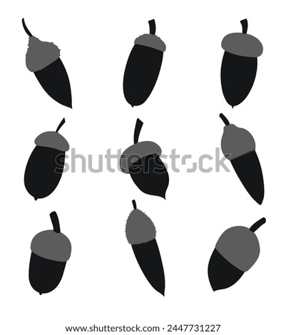 Silhouettes of different shapes of acorns and caps, isolated vector