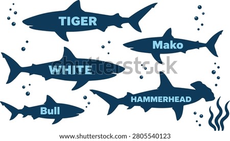 Silhouettes of different shark species including tiger white bull mako and hammerhead with underwater themed illustration


