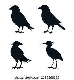 Silhouettes of different species of birds