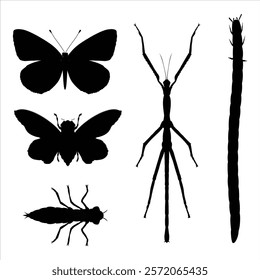 Silhouettes of Different Types of Insects on Leaves and Flowers