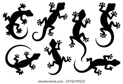 Silhouettes of diverse geckos in various poses vector illustration